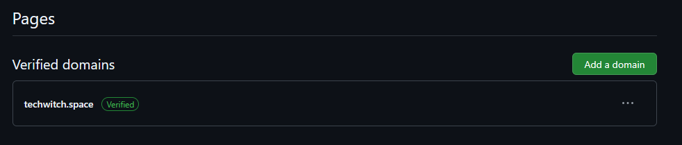 Screenshot of GitHub Pages configuration showing a list of verified domains, in this case, techwitch.space with a green verified badge after it.