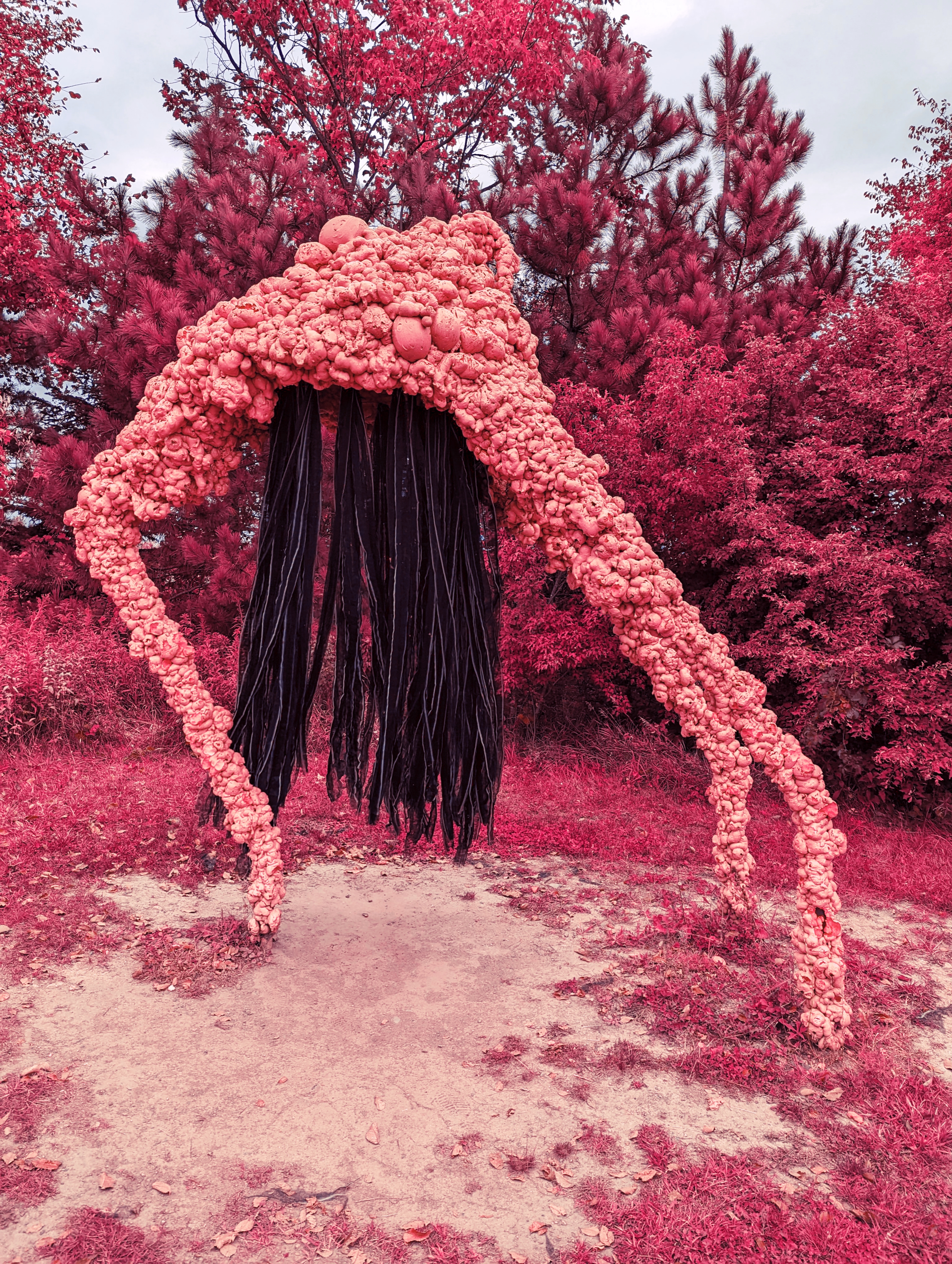 A sculpture of a being with three long limbs, and black wavy fabric which almost looks like hair, but is meant to be long eye lashes, dangling from the centre (or eye) of the sculpture. In the background are trees and bushes. The entire image is tinted pink with an artistic filter.