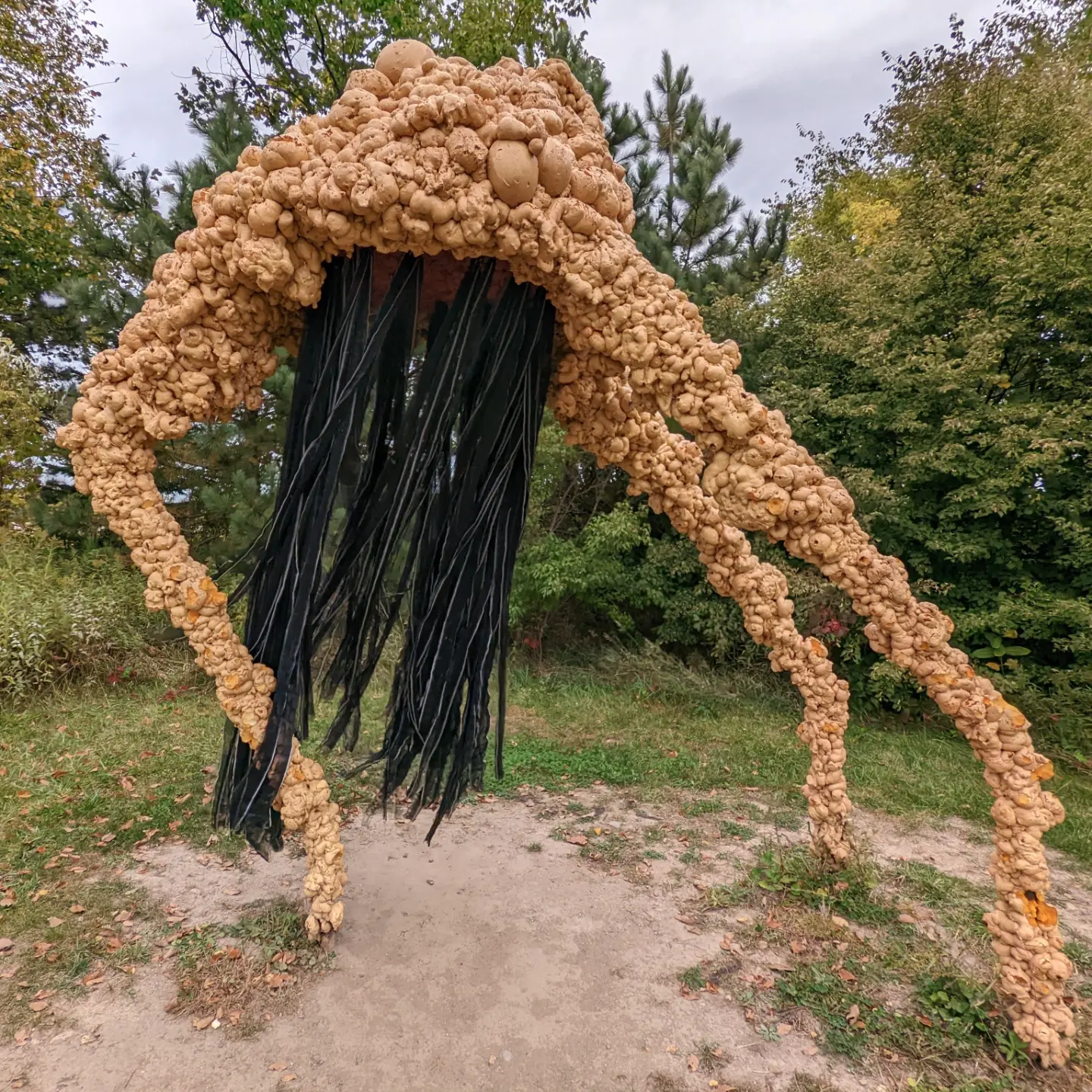A sculpture of a being with three long limbs, and black wavy fabric which almost looks like hair, but is meant to be long eye lashes, dangling from the centre (or eye) of the sculpture. In the background are trees and bushes.
